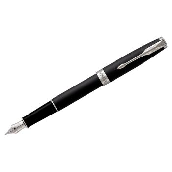 Ручка перьевая Parker 